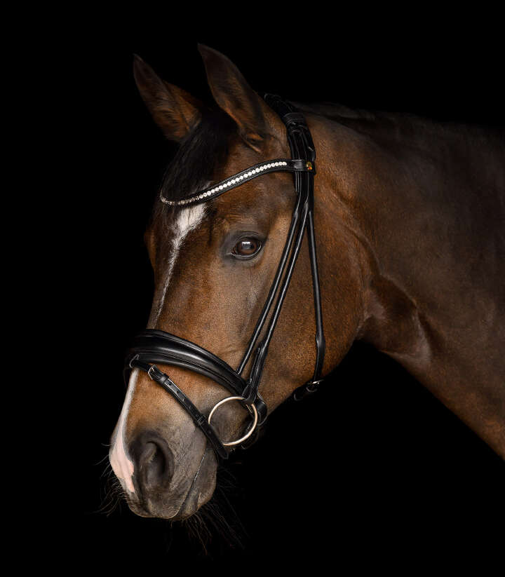 WALDHAUSEN S-Line Trensenzaum Grace